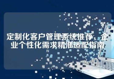 定制化客户管理系统推荐，企业个性化需求精准适配指南