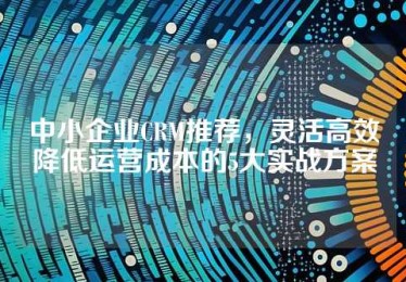 中小企业CRM推荐，灵活高效降低运营成本的5大实战方案