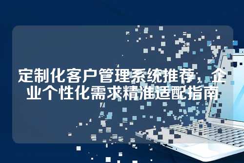 定制化客户管理系统推荐，企业个性化需求精准适配指南
