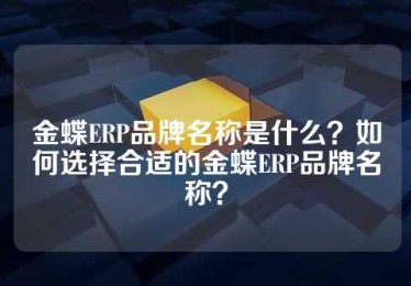 金蝶ERP品牌名称是什么？如何选择合适的金蝶ERP品牌名称？