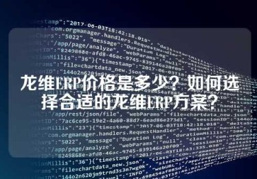 龙维ERP价格是多少？如何选择合适的龙维ERP方案？