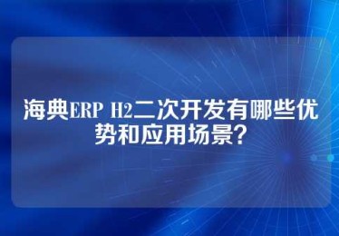 海典ERP H2二次开发有哪些优势和应用场景？