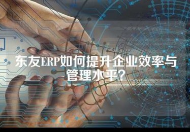 东友ERP如何提升企业效率与管理水平？
