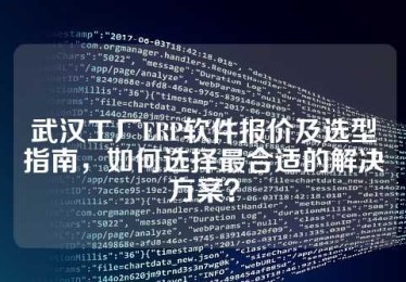 武汉工厂ERP软件报价及选型指南，如何选择最合适的解决方案？