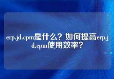 erp.jd.cpm是什么？如何提高erp.jd.cpm使用效率？