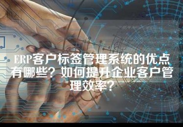ERP客户标签管理系统的优点有哪些？如何提升企业客户管理效率？