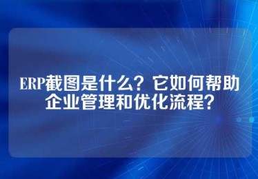 ERP截图是什么？它如何帮助企业管理和优化流程？