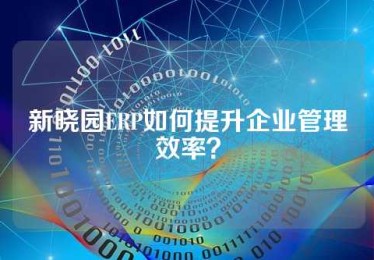 新晓园ERP如何提升企业管理效率？