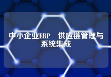 中小企业ERP•供应链管理与系统集成