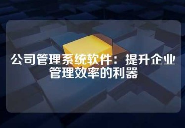 公司管理系统软件：提升企业管理效率的利器