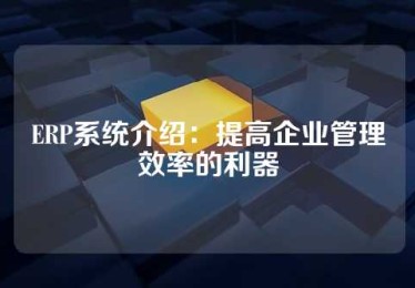 ERP系统介绍：提高企业管理效率的利器
