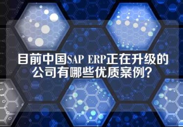 目前中国SAP ERP正在升级的公司有哪些优质案例？