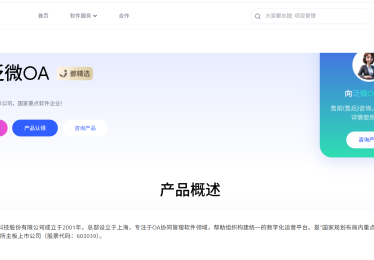 国内主流ERP系统有哪些？企业部署指南