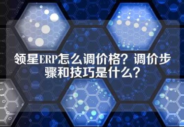 领星ERP怎么调价格？调价步骤和技巧是什么？