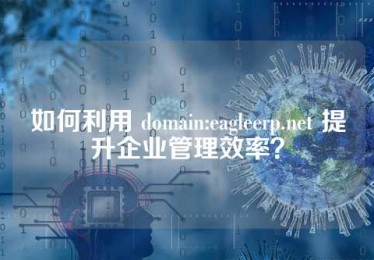 如何利用 domain:eagleerp.net 提升企业管理效率？