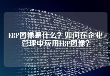 ERP图像是什么？如何在企业管理中应用ERP图像？