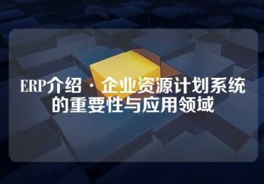 ERP介绍·企业资源计划系统的重要性与应用领域