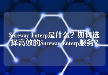 Sureway Enterp是什么？如何选择高效的Sureway Enterp服务？