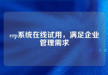 erp系统在线试用，满足企业管理需求