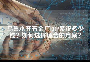 乌鲁木齐五金厂ERP系统多少钱？如何选择适合的方案？