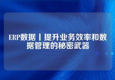 ERP数据丨提升业务效率和数据管理的秘密武器