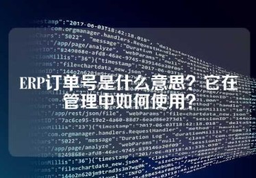 ERP订单号是什么意思？它在管理中如何使用？