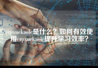 erpxuekaole是什么？如何有效使用erpxuekaole提升学习效率？
