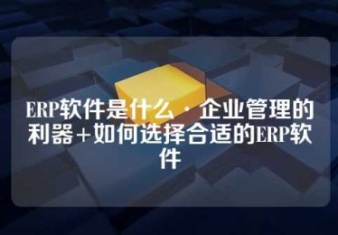 ERP软件是什么·企业管理的利器+如何选择合适的ERP软件