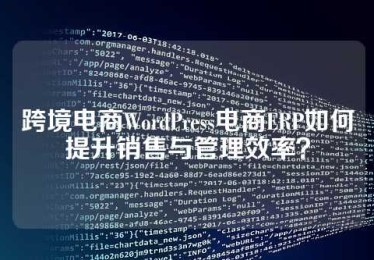 跨境电商WordPress电商ERP如何提升销售与管理效率？