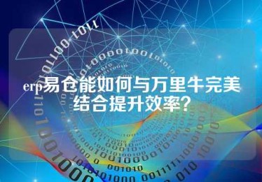 erp易仓能如何与万里牛完美结合提升效率？