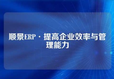 顺景ERP·提高企业效率与管理能力
