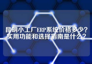 昆明小工厂ERP系统价格多少？实用功能和选择指南是什么？