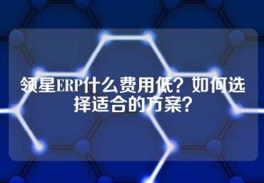 领星ERP什么费用低？如何选择适合的方案？