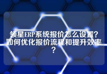 领星ERP系统报价怎么设置？如何优化报价流程和提升效率？