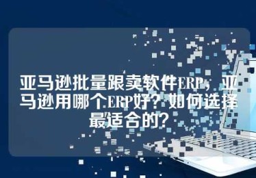 亚马逊批量跟卖软件ERP，亚马逊用哪个ERP好？如何选择最适合的？