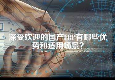 深受欢迎的国产ERP有哪些优势和适用场景？