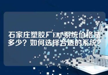 石家庄塑胶厂ERP系统价格是多少？如何选择合适的系统？