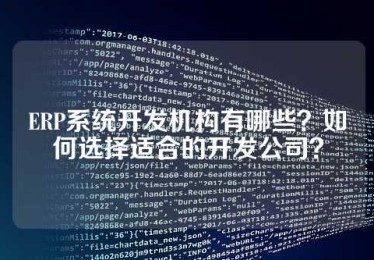 ERP系统开发机构有哪些？如何选择适合的开发公司？