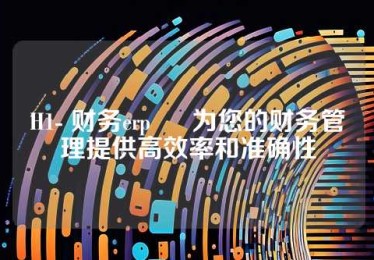 H1- 财务erp – 为您的财务管理提供高效率和准确性