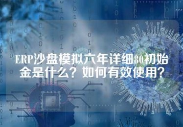 ERP沙盘模拟六年详细80初始金是什么？如何有效使用？