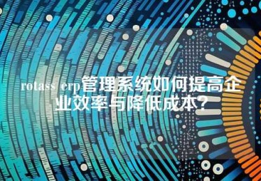 rotass erp管理系统如何提高企业效率与降低成本？