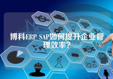 博科ERP SAP如何提升企业管理效率？