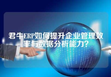 君牛ERP如何提升企业管理效率与数据分析能力？