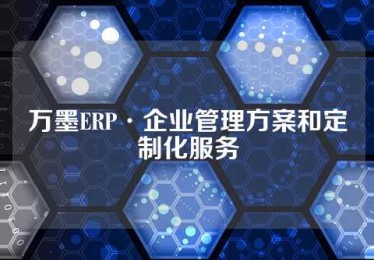 万墨ERP·企业管理方案和定制化服务