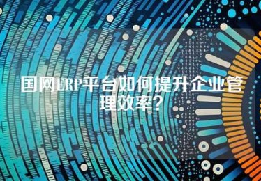 国网ERP平台如何提升企业管理效率？