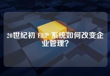 20世纪初 ERP 系统如何改变企业管理？