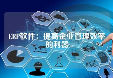 ERP软件：提高企业管理效率的利器