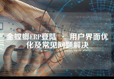 金螳螂ERP登陆 · 用户界面优化及常见问题解决
