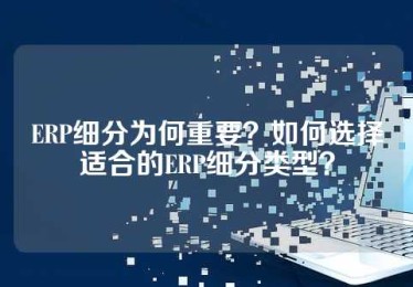 ERP细分为何重要？如何选择适合的ERP细分类型？