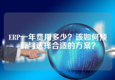 ERP一年费用多少？该如何预算与选择合适的方案？